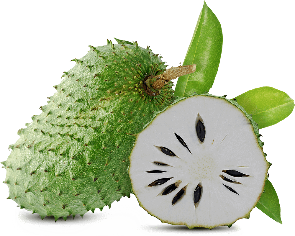 Tropical soursop or guanabana cut in half