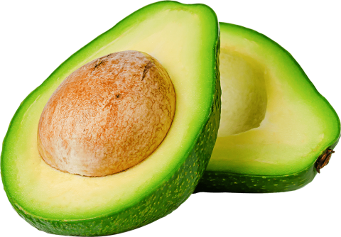 Tropical avocado fruit cut in half