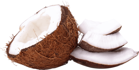 Dry coconut fruit cut in half