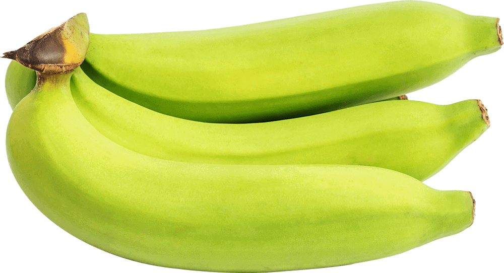 Green Bananas J C Tropicals
