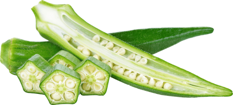 Okra fruit cut in half