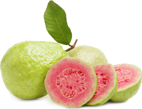 Exotic red guava fruit cut in pieces