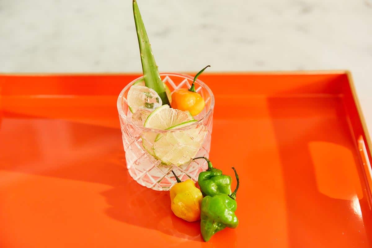 Spicy aji cachucha pepper margarita cocktail