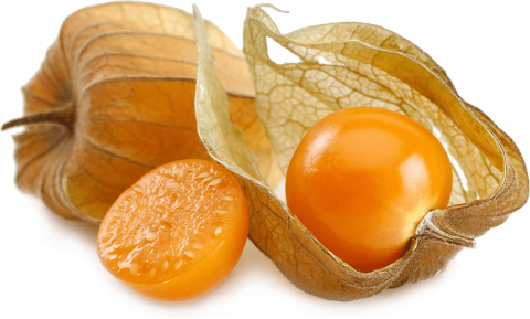 Golden berries fruit