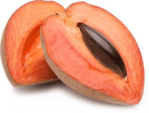 Mamey or sapote fruit cut in half