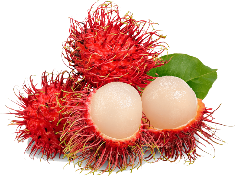 Exotic rambutan fruit