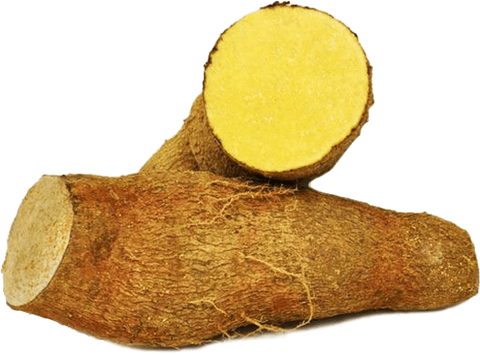 Yellow yam root cut in half