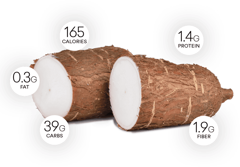 Yuca root health benefits and nutrition facts