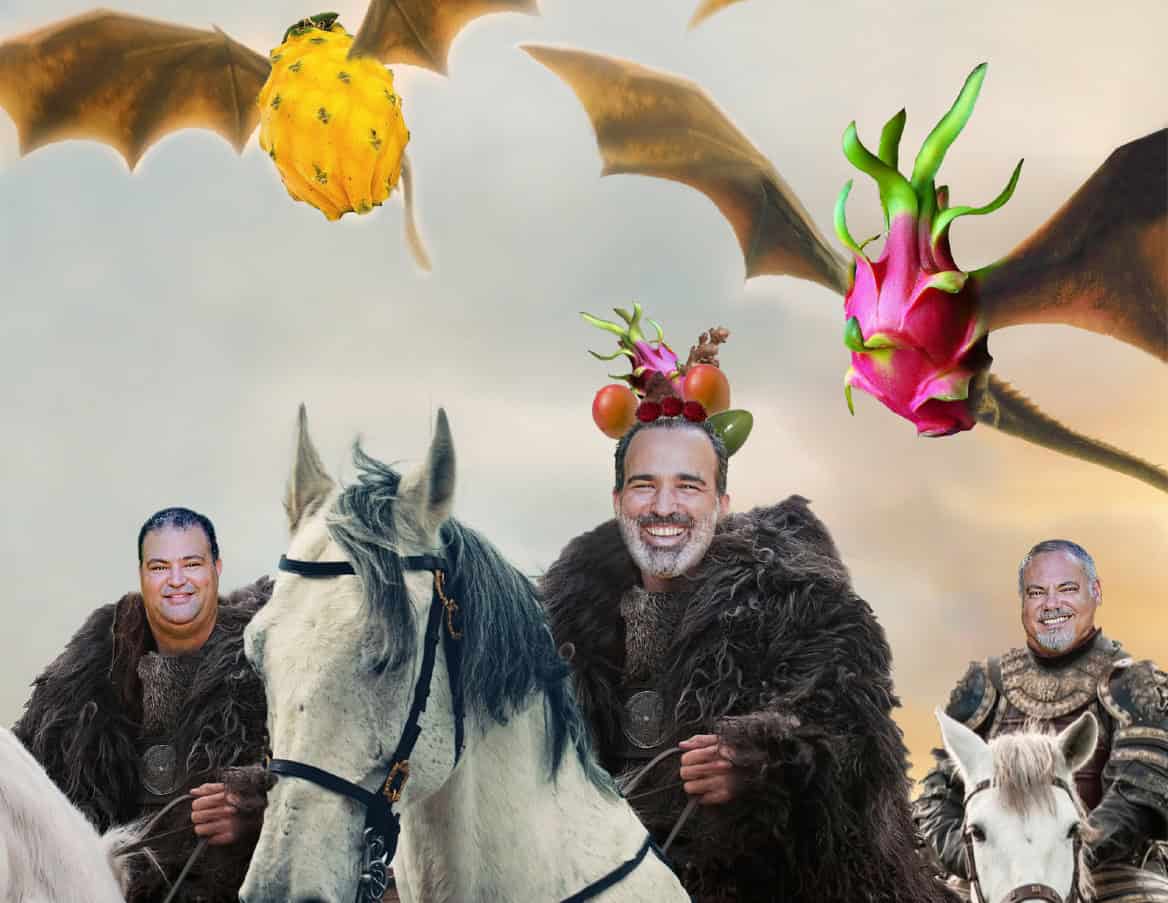 The house of dragon fruit