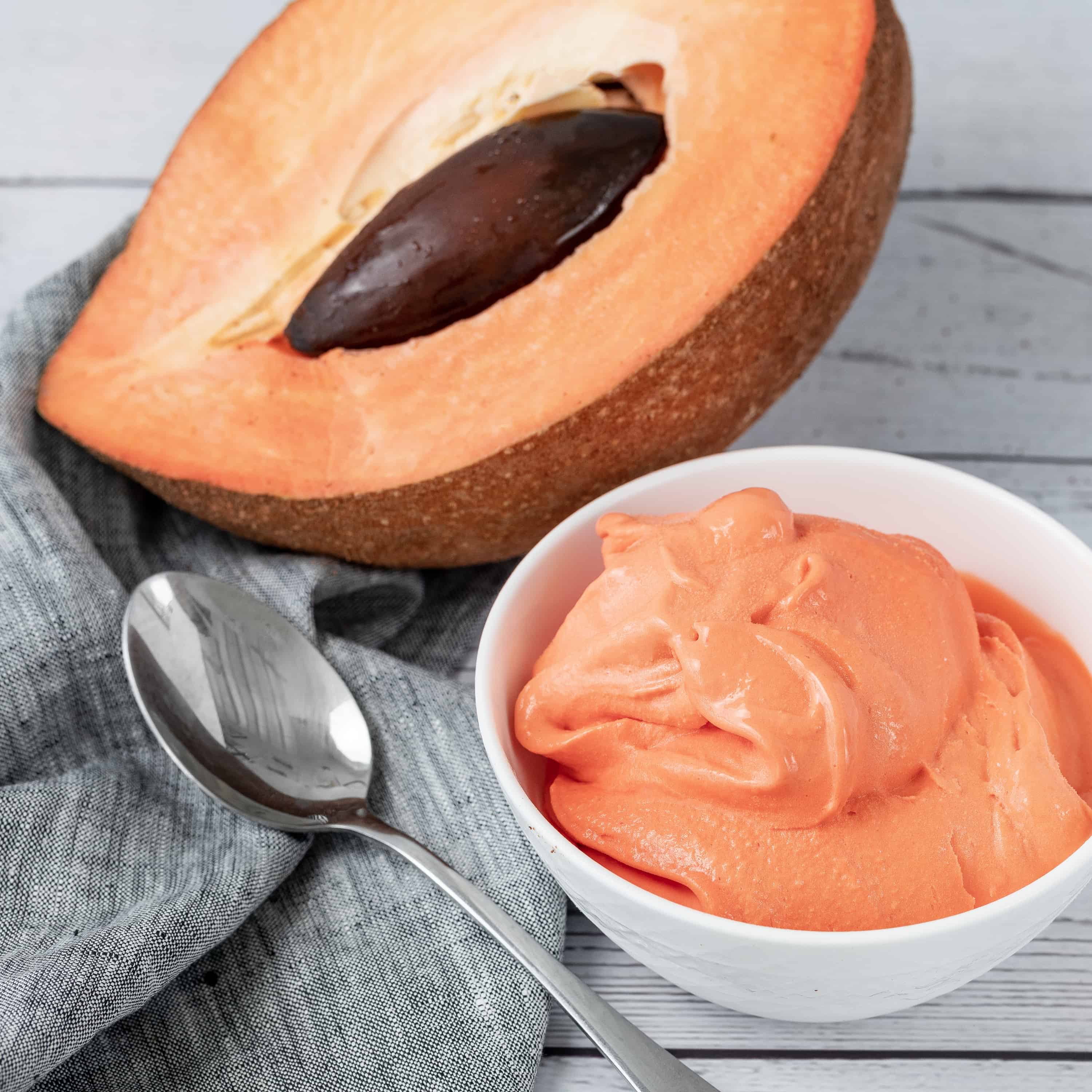 Mamey Ice Cream
