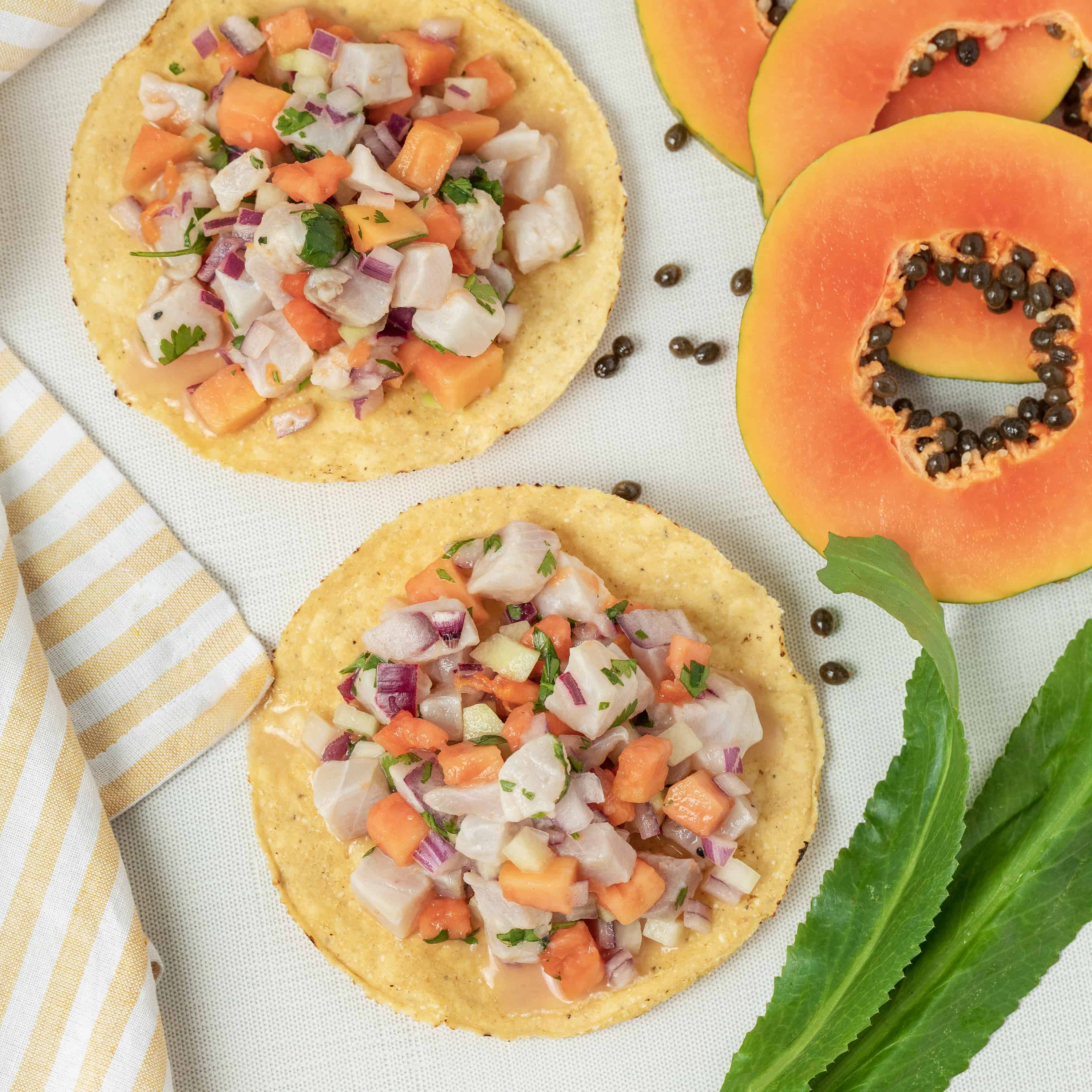 Tilapia Tropical Ceviche Tostada